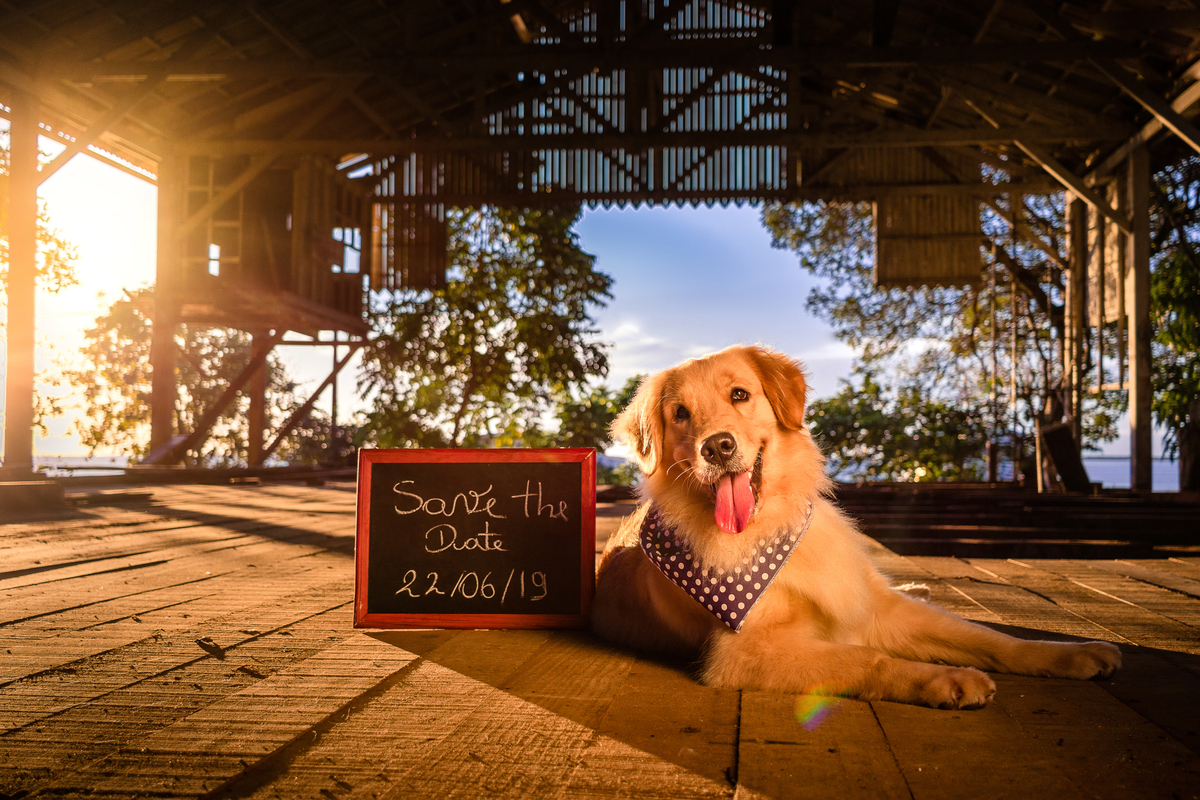 Casal - Diane e Fábio | Ensaio Pré-wedding - Ufopa Tapajós - Santarém, Pará