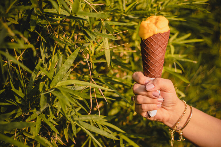 Alimentos – Gelateria Pai D’égua